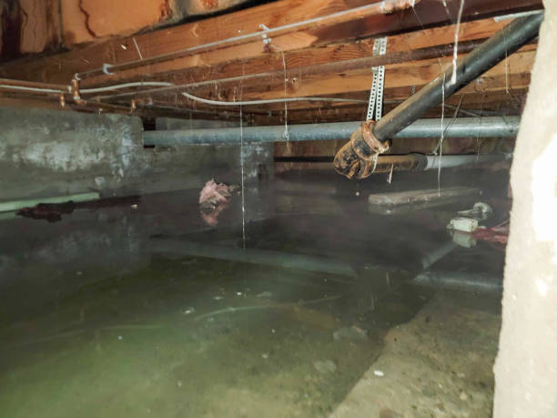 Best 24-hour water damage restoration  in Brooklyn, NY