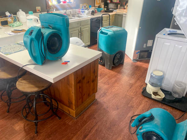 Best Carpet water damage restoration  in Brooklyn, NY