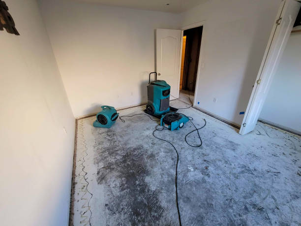 Best Water damage cleanup near me  in Brooklyn, NY