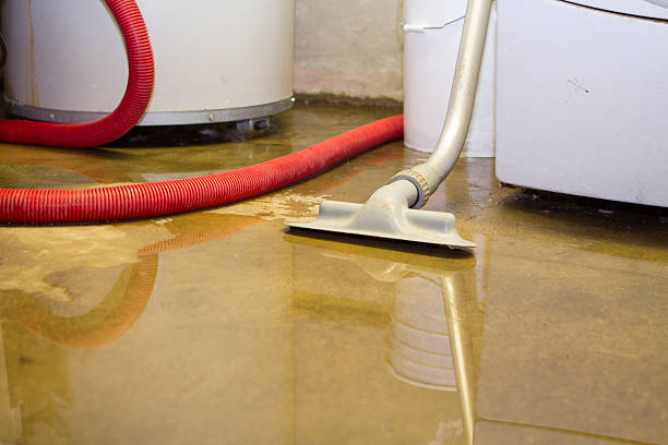 Best Flood restoration services  in Brooklyn, NY