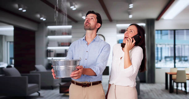 Best Professional water damage repair  in Brooklyn, NY